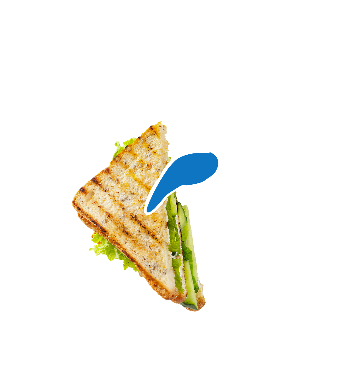 hand holding sandwich